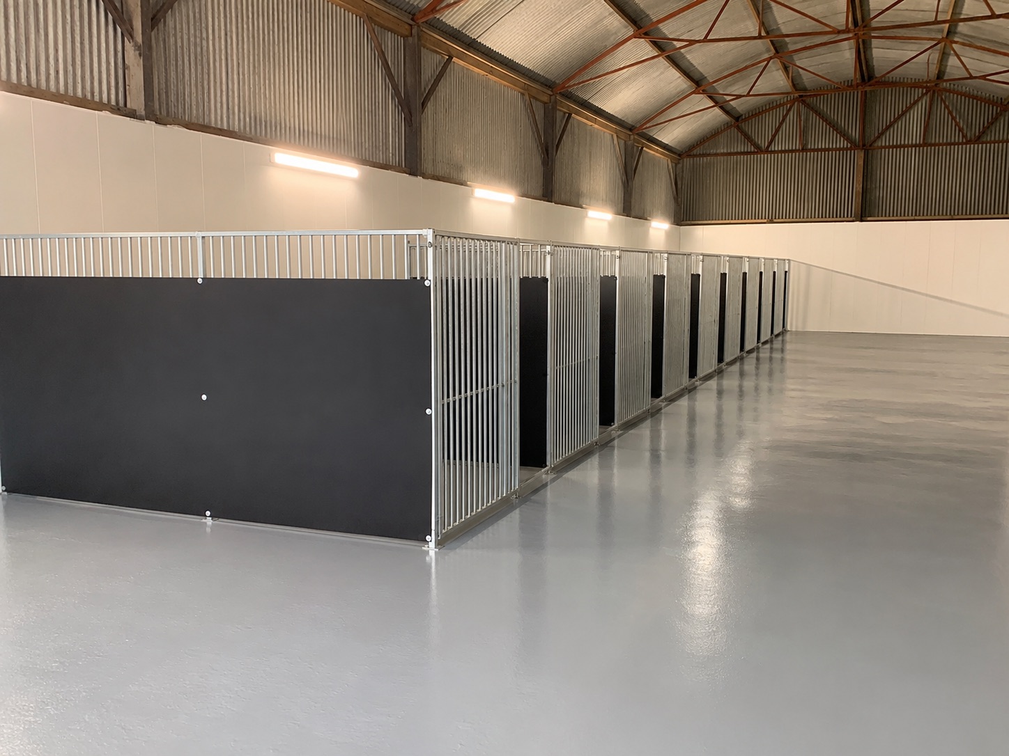Dog kennels Kildare - Clean and spacious indoor boarding suites